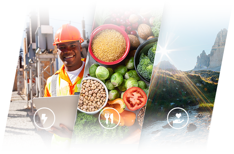 Eliminating Wastefulness in Food Systems