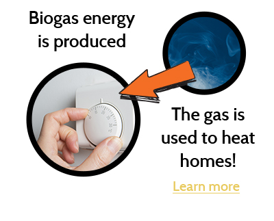 Biogas energy is produced. The gas is used to heat homes.