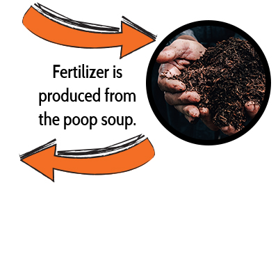 The grass is fermented to seperate proteins that we use to help make animal feed