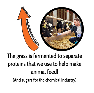 Fertilizer is produced from the poop soup.